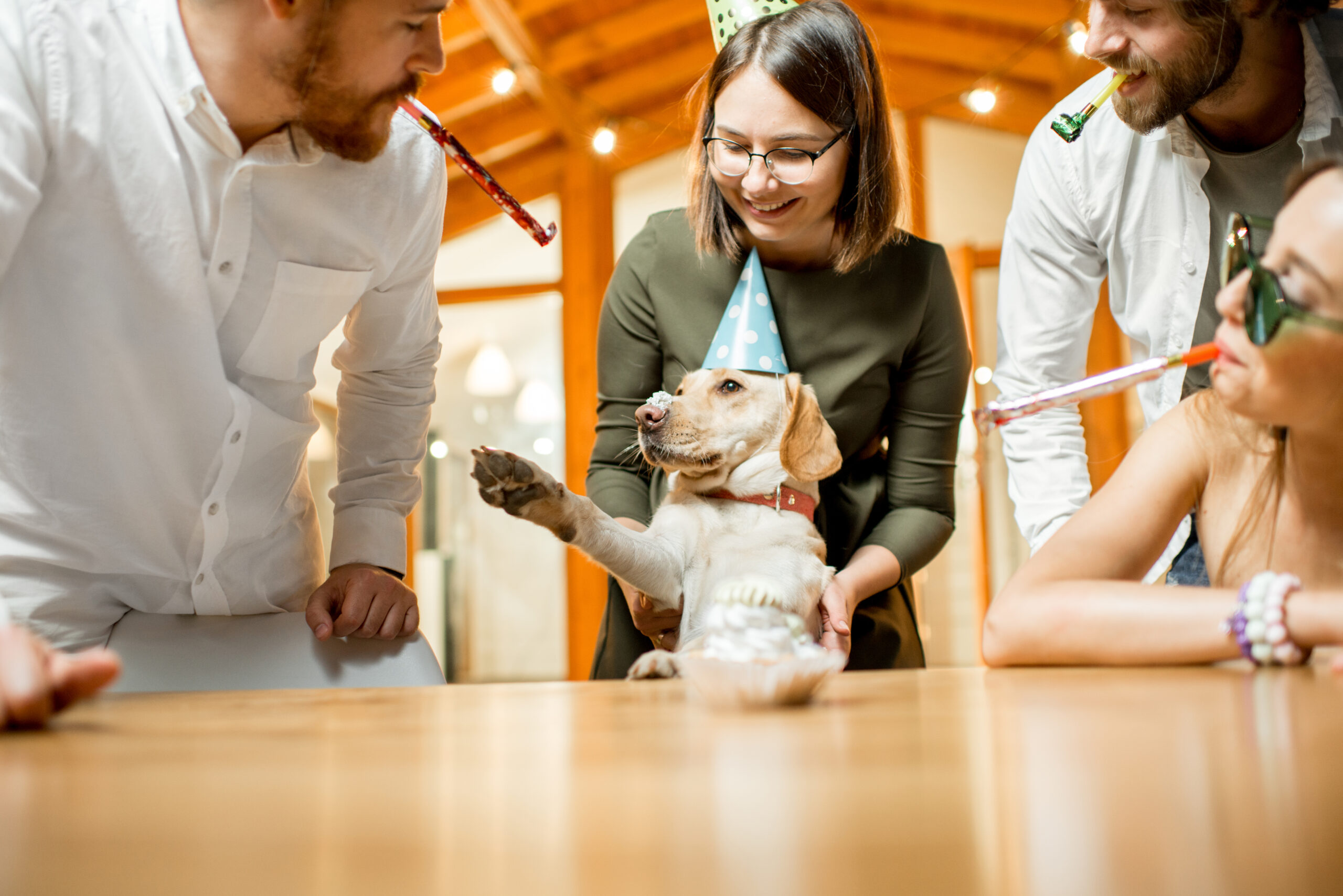 Friends celebrating dog's birthday
